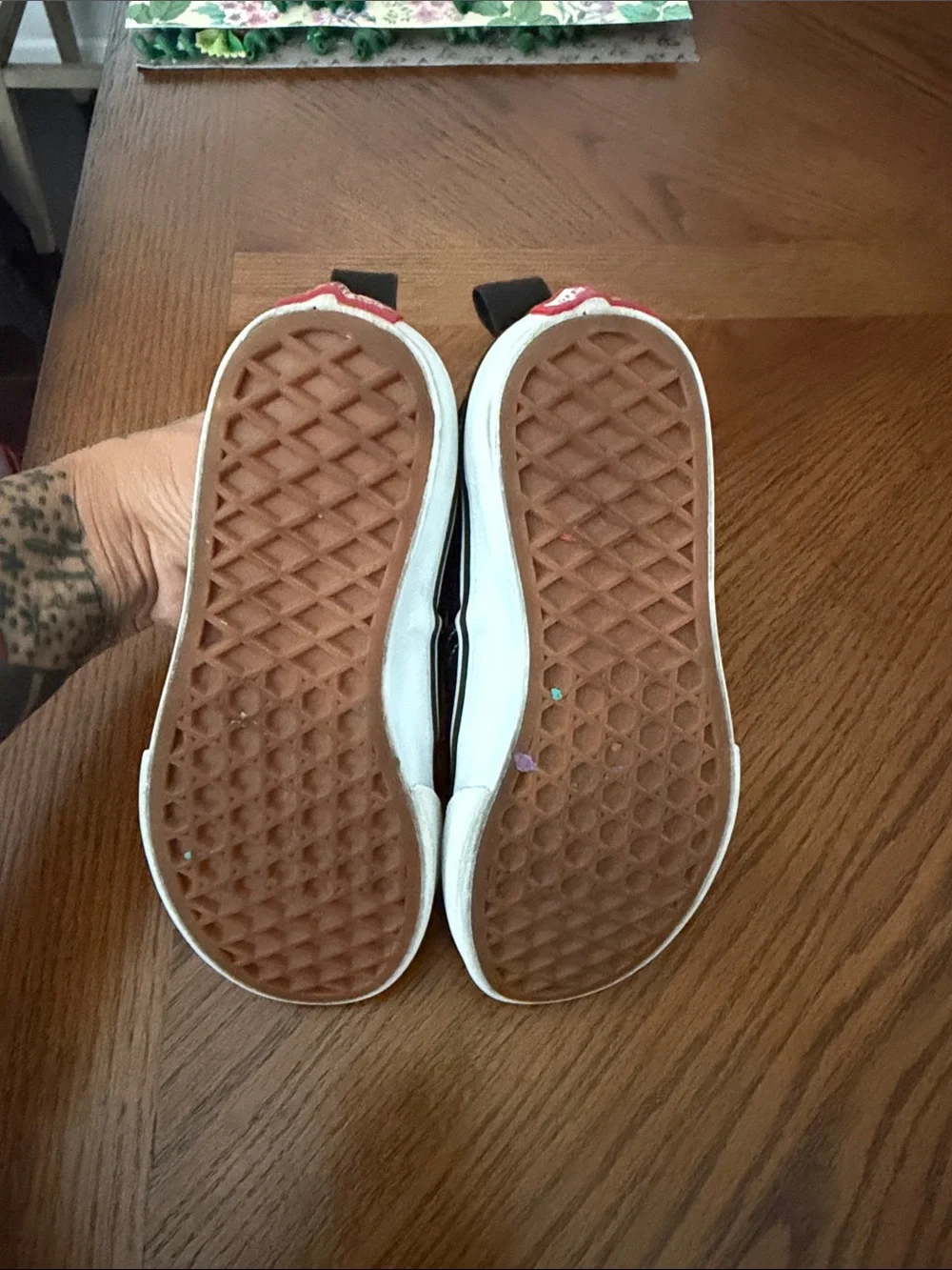 Vans classic low